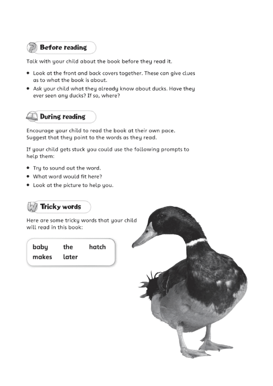 X牛津X计划系列1-9级绘本14 Ducks.pdf,第2页预览