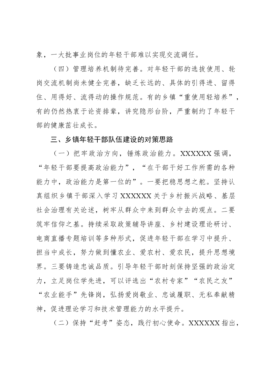 关于新时代关于加强乡镇年轻干部队伍建设的问题研究报告.docx,第3页预览