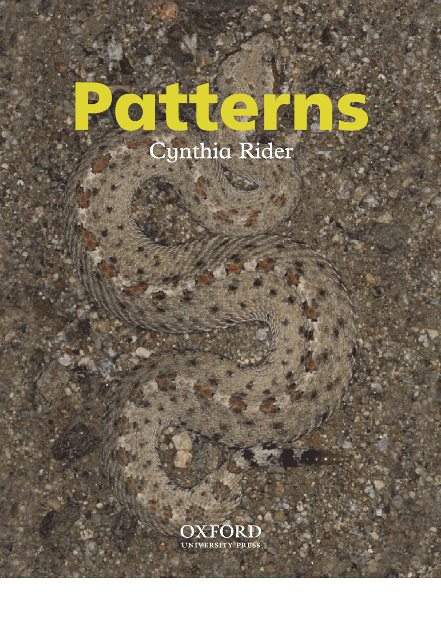 牛津阅读树stage_3的各个系列Patterns.pdf,第3页预览