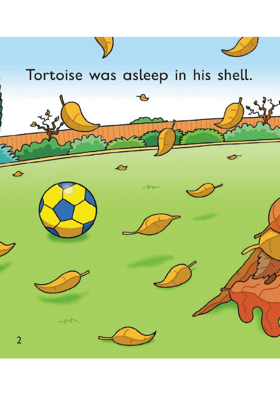 牛津阅读树stage_2的各个系列Tortoise_Tortoise.pdf，第4页预览