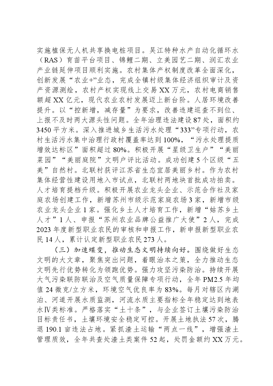2024年XX镇政府工作报告 (2).docx,第3页预览