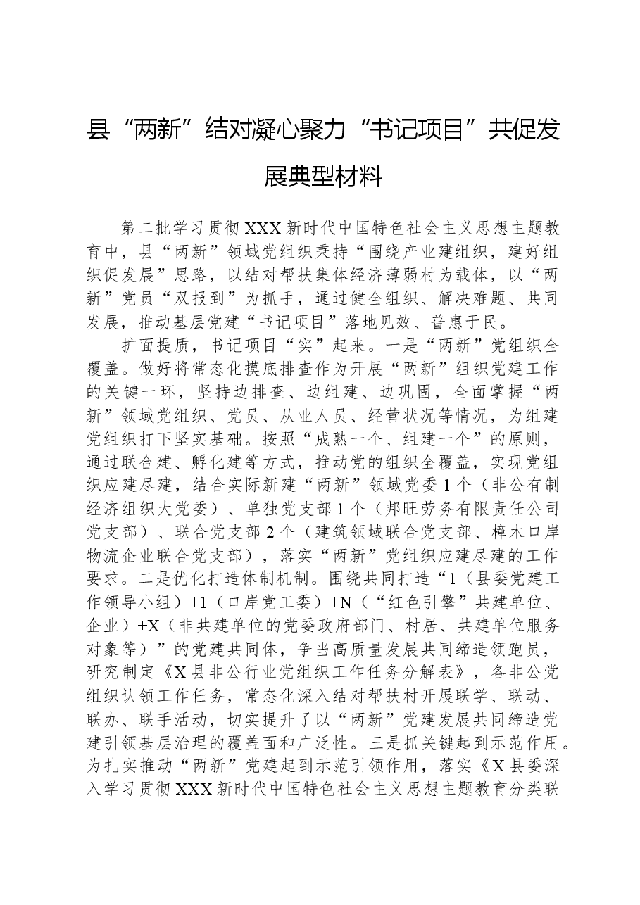 县“两新”结对凝心聚力,“书记项目”共促发展典型材料.docx,第1页预览