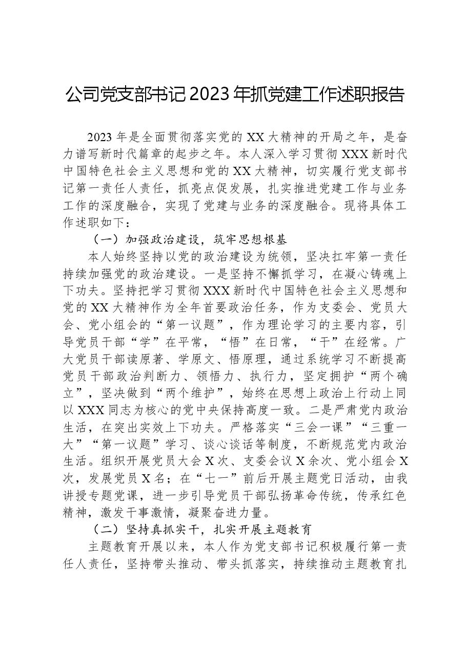 公司党支部书记2023年抓党建工作述职报告.docx,第1页预览