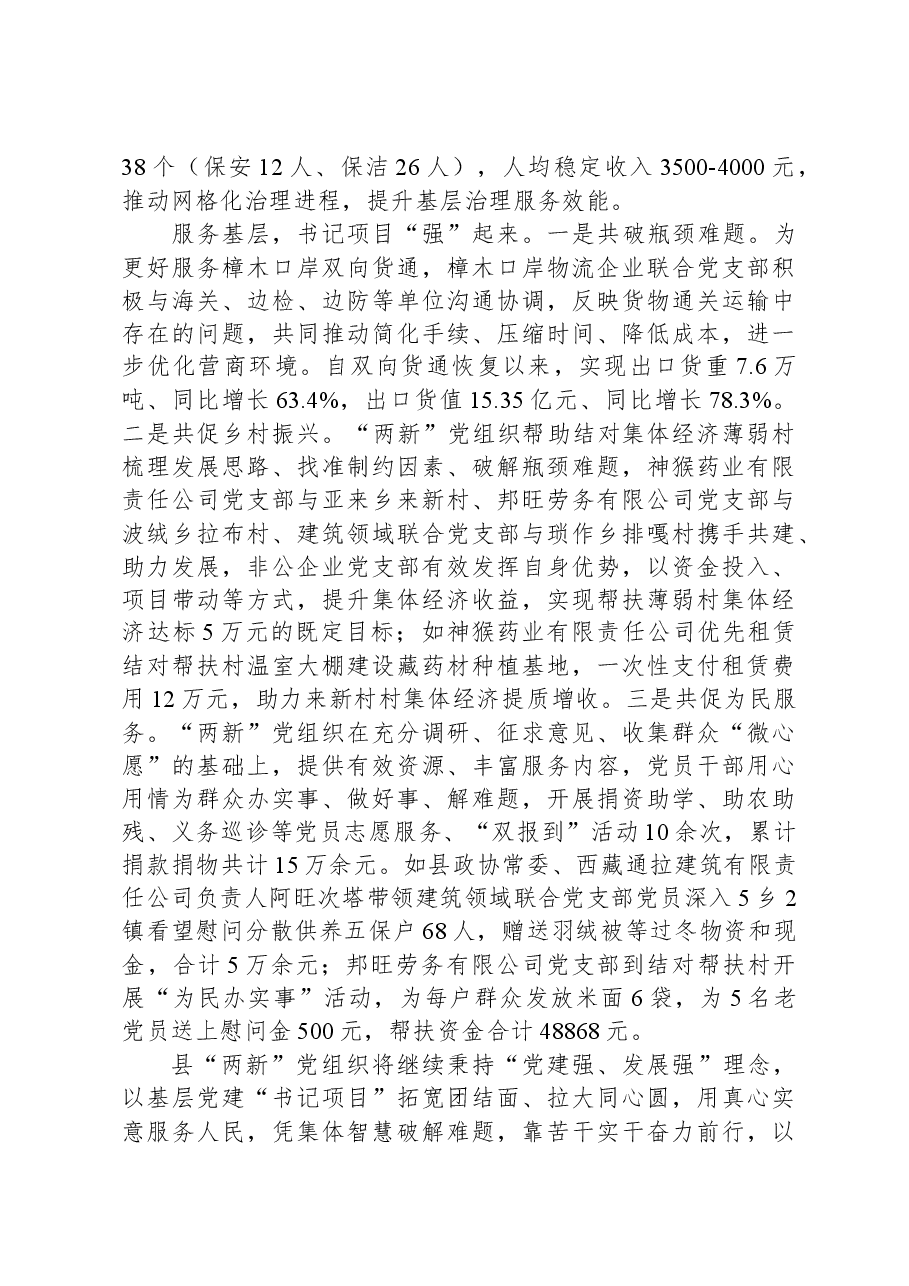 县“两新”结对凝心聚力,“书记项目”共促发展典型材料.docx,第3页预览
