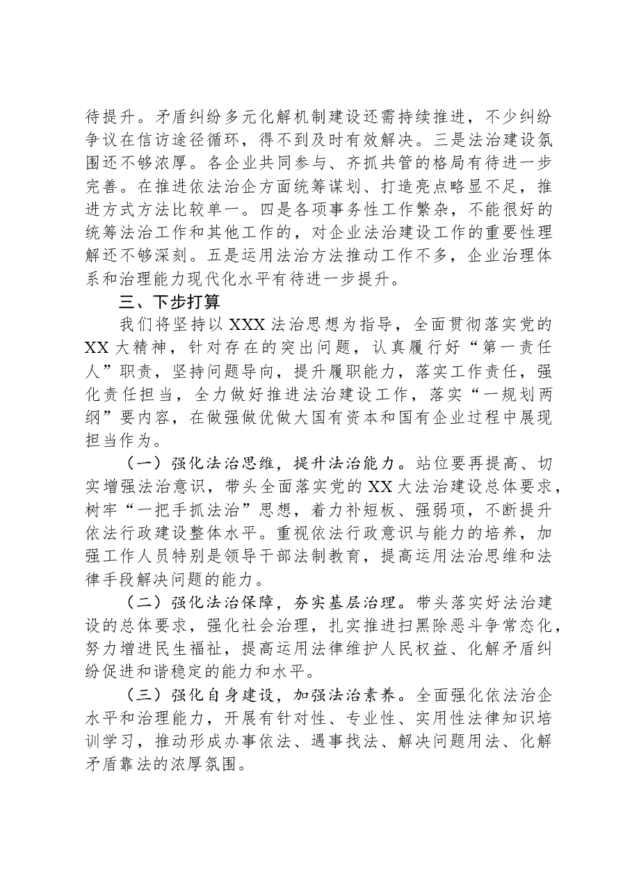 党委书记2023年度述法报告.docx,第3页预览