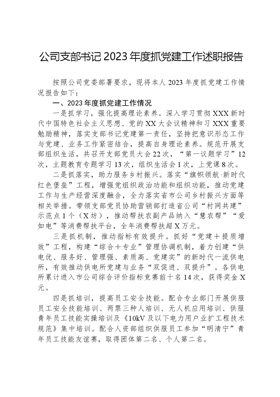 公司支部书记2023年度抓党建工作述职报告.docx,第1页预览