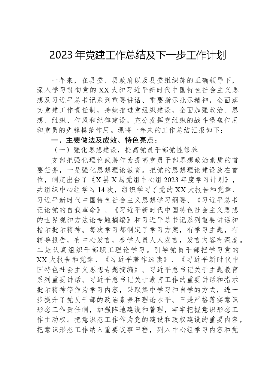 2023年党建工作总结及下一步工作计划.docx,第1页预览