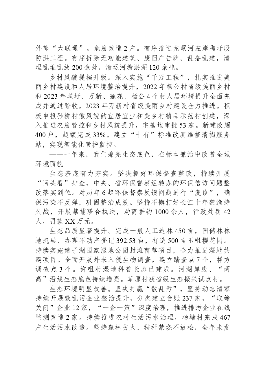 2024年XX镇政府工作报告(1).docx,第4页预览