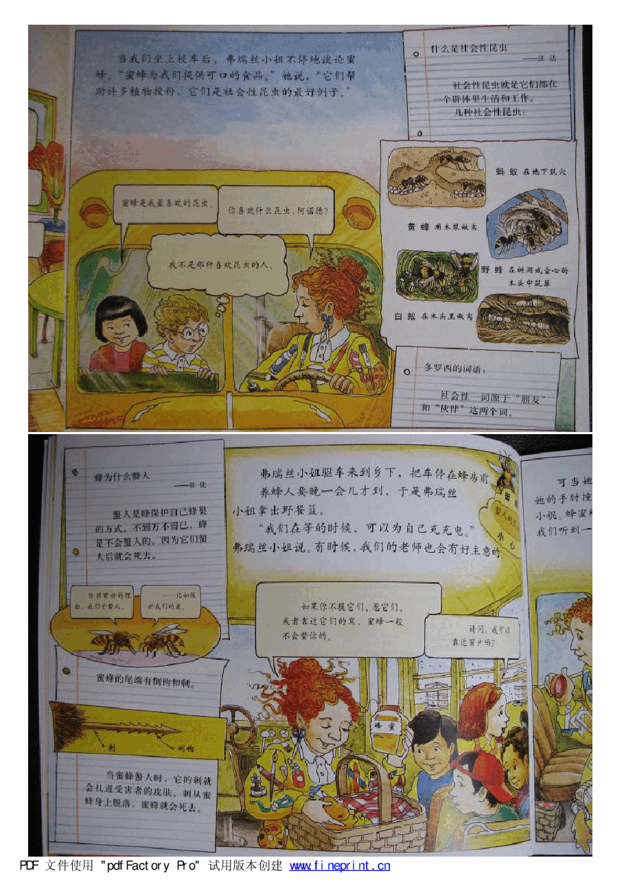 神奇校车绘本系列神奇的蜂巢.pdf，第4页预览