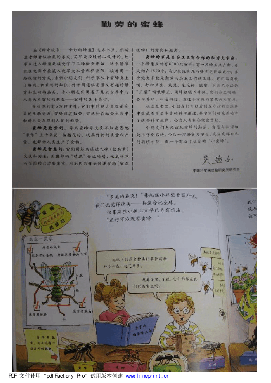 神奇校车绘本系列神奇的蜂巢.pdf，第2页预览
