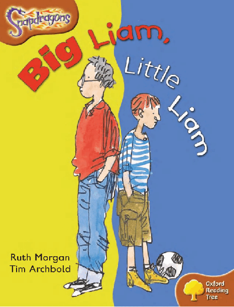牛津阅读树stage_8的各个系列2-8Big_Liam_Little_Liam.pdf,第1页预览