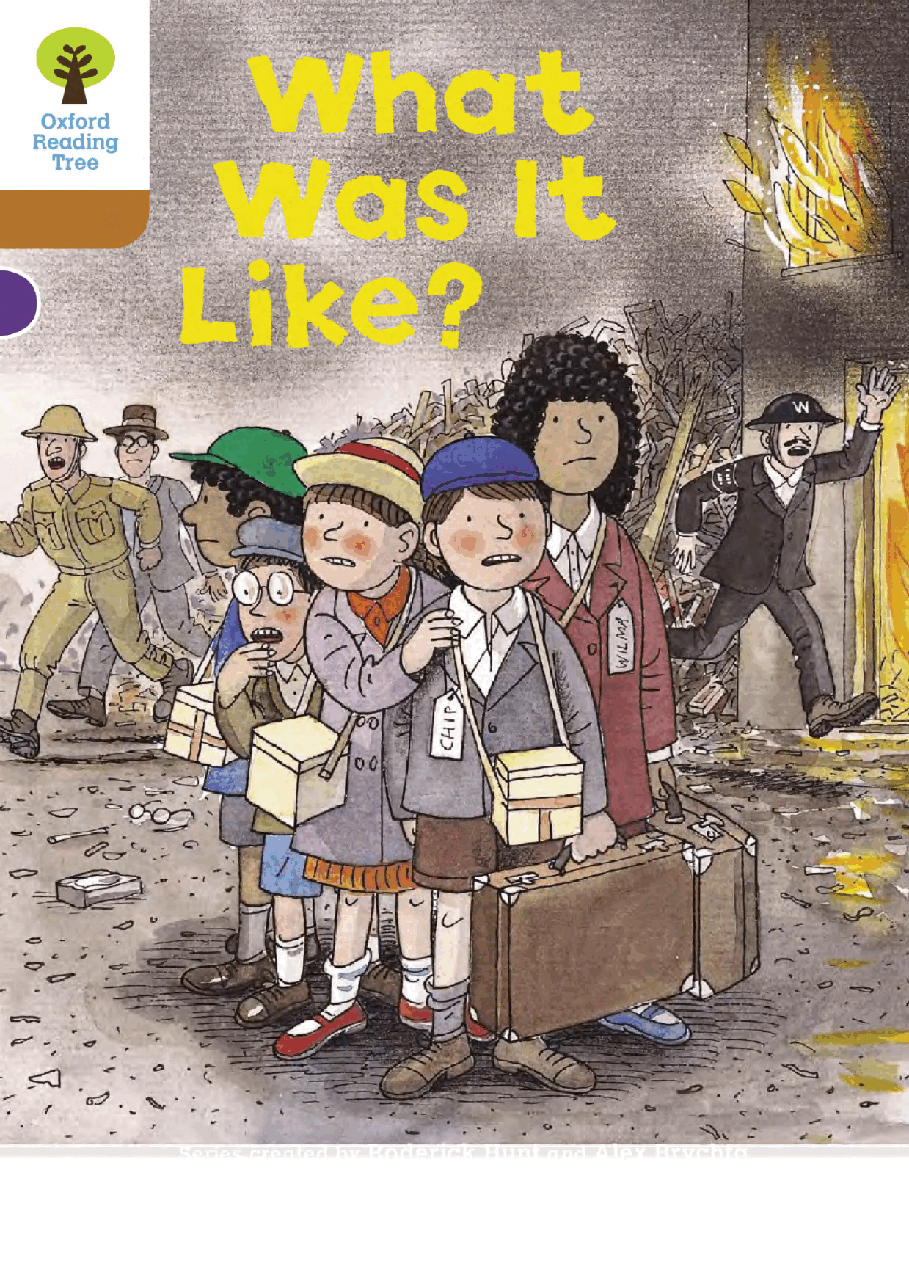 牛津阅读树stage_8的各个系列84 What Was It Like.pdf,第1页预览