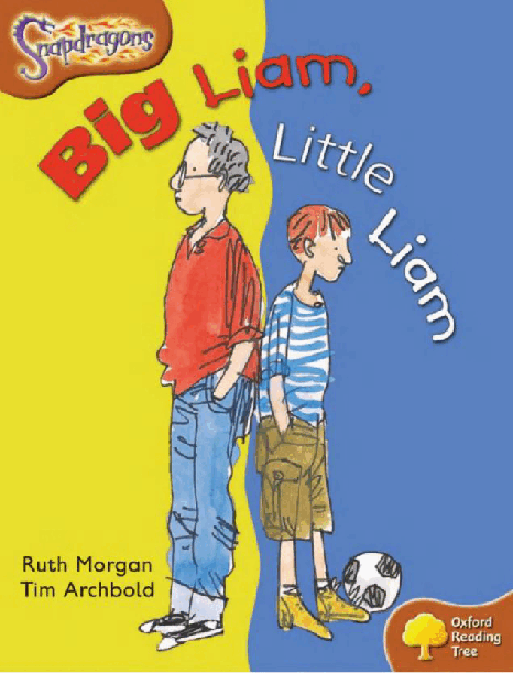 牛津阅读树stage_8的各个系列2-8Big_Liam_Little_Liam.pdf，第1页预览