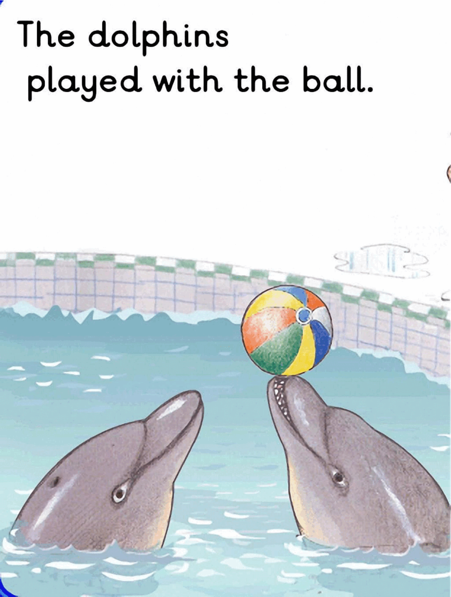 牛津阅读树stage_3的各个系列the_dolphin_pool.pdf,第4页预览