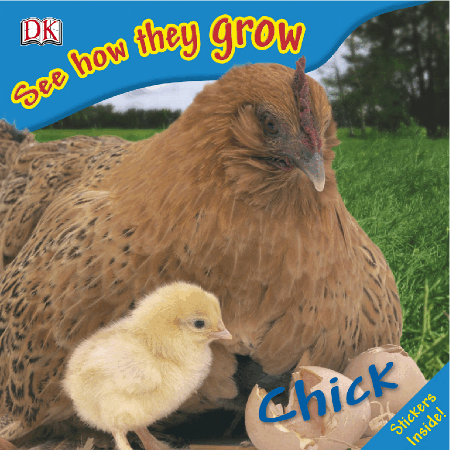 Pearson培生3-6岁低幼亲子阅读绘本38本16.DK See how they grow Chick.pdf,第1页预览