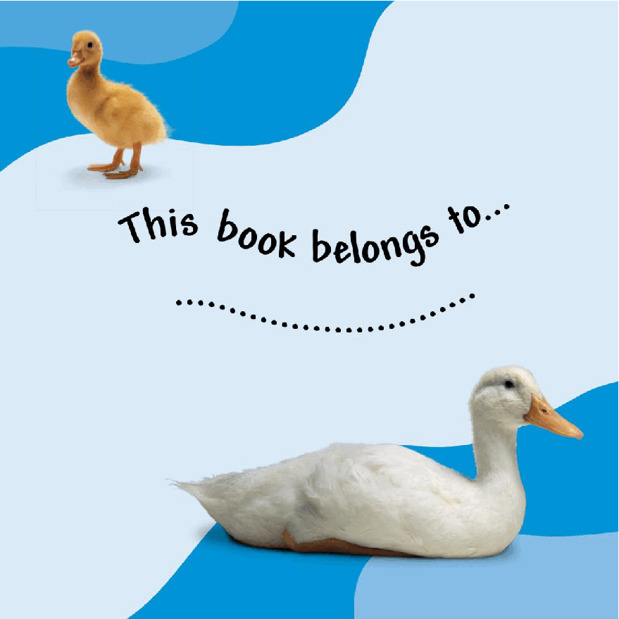 Pearson培生3-6岁低幼亲子阅读绘本38本14.DK See how they grow Duck.pdf,第3页预览