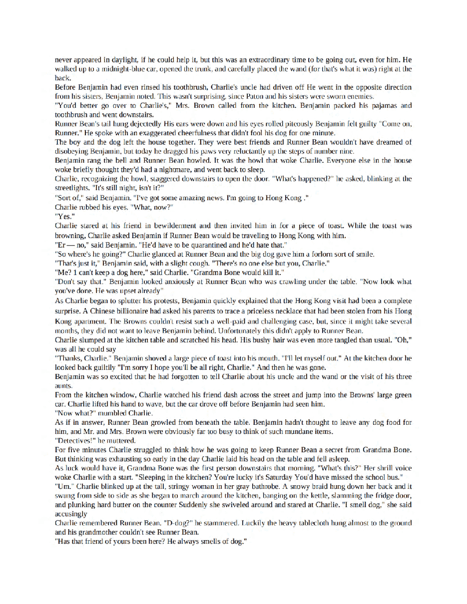 赤王的子民8部魔法记事英文绘本Charlie Bone and the Invisible Boy (Children of the Red King Book 03) - Jenny Nimmo.pdf,第4页预览