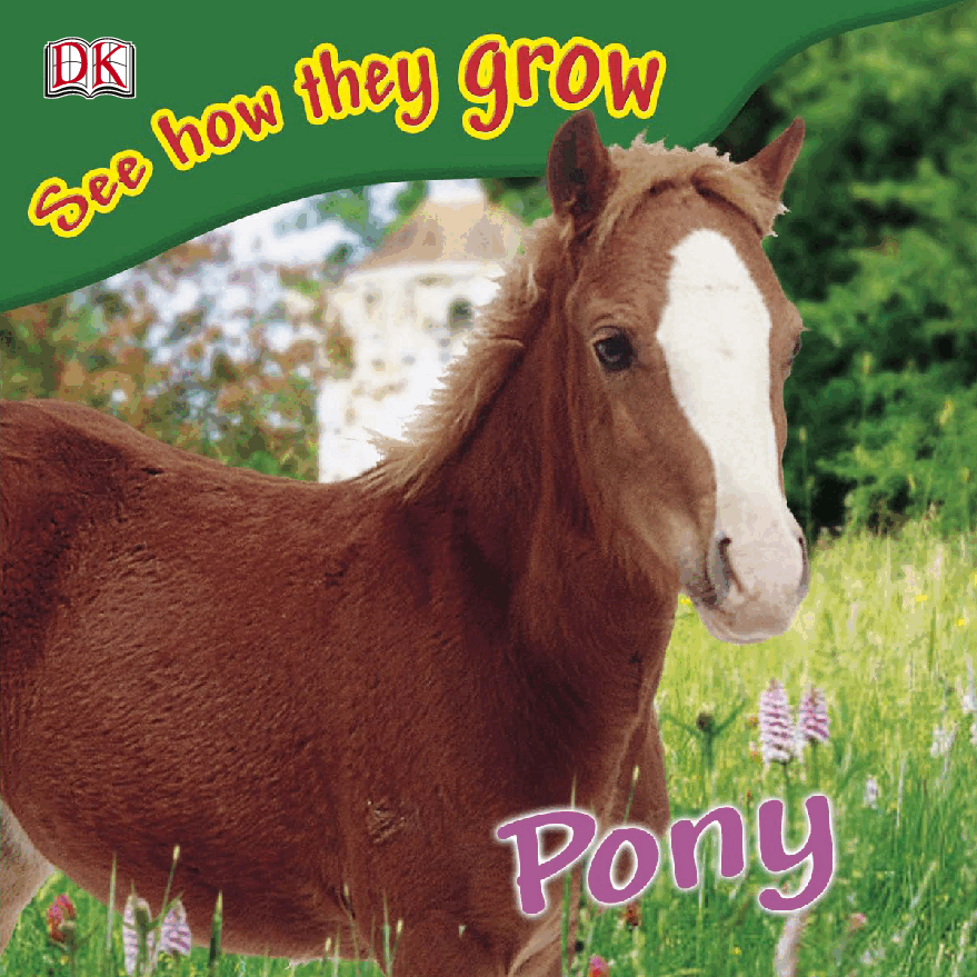 Pearson培生3-6岁低幼亲子阅读绘本38本28.See how they grow Pony.pdf,第1页预览