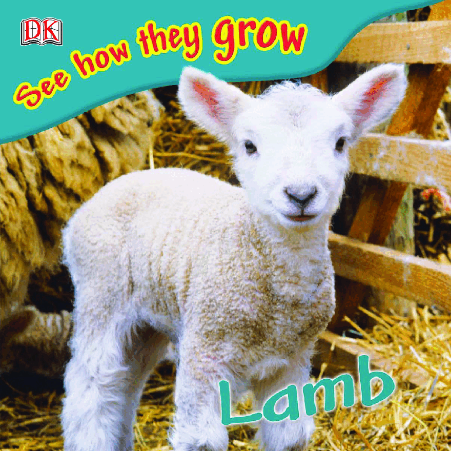 Pearson培生3-6岁低幼亲子阅读绘本38本53.DK See how they grow Lamb.pdf,第1页预览