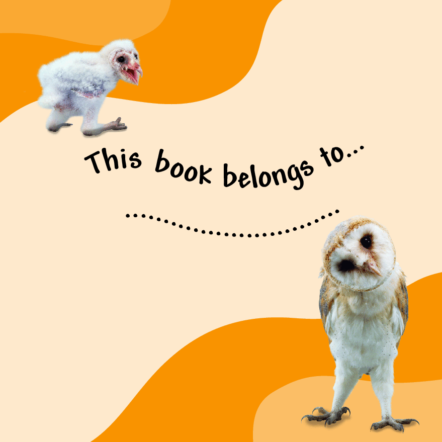 Pearson培生3-6岁低幼亲子阅读绘本38本05.See how they grow Owl.pdf,第2页预览