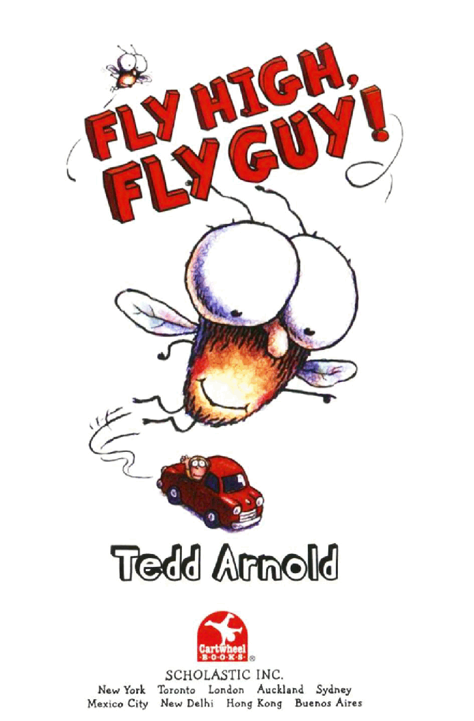 Fly High Fly Guy.pdf,第1页预览