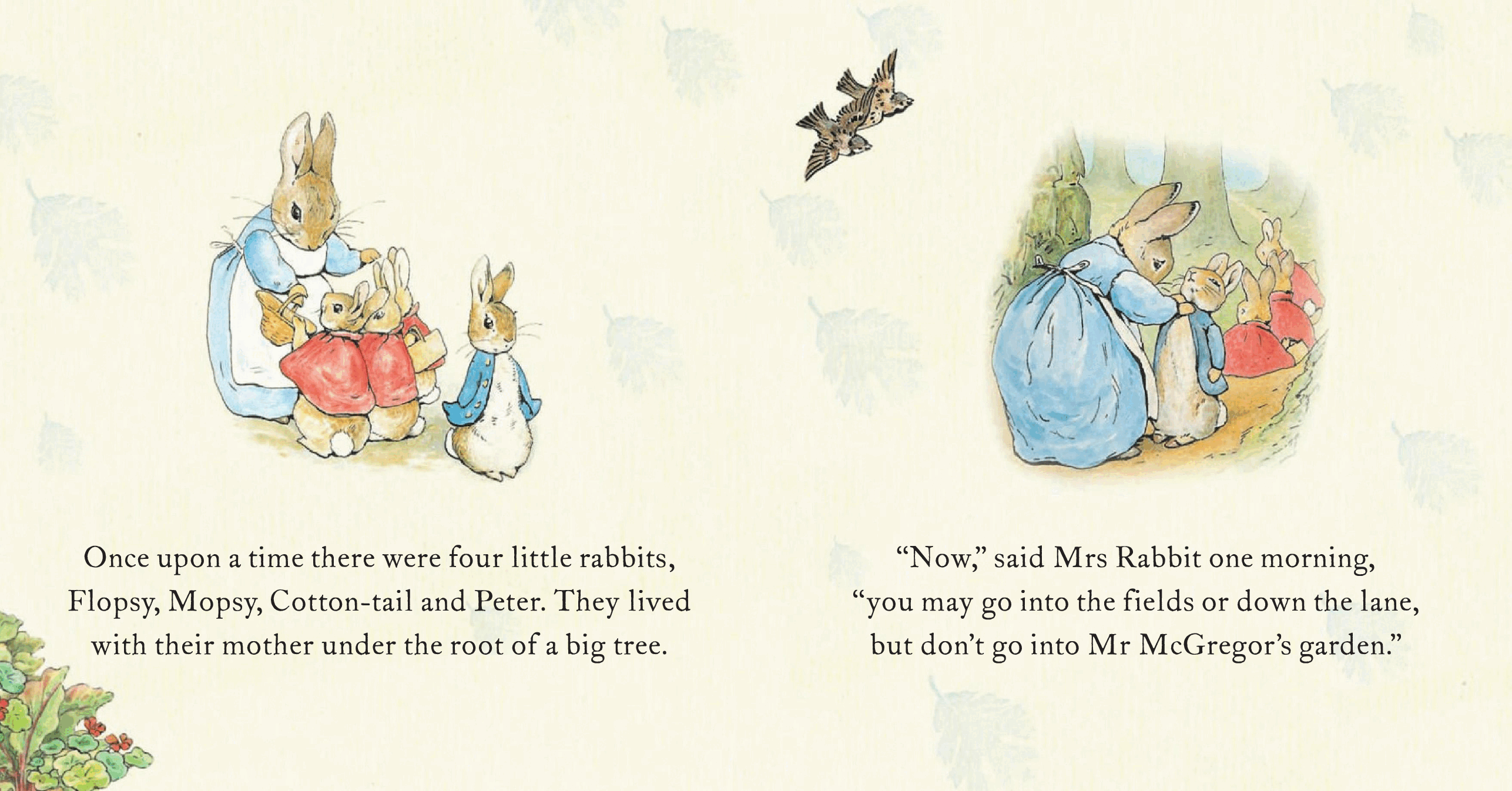 Pearson培生3-6岁低幼亲子阅读绘本38本08.The Tale f Peter Rabbit24.pdf,第2页预览
