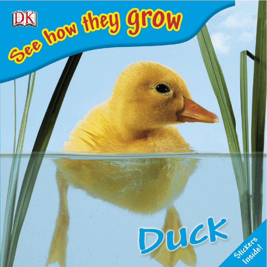 Pearson培生3-6岁低幼亲子阅读绘本38本14.DK See how they grow Duck.pdf,第1页预览