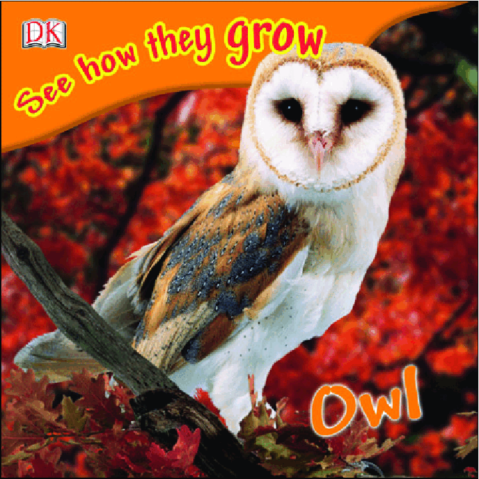 Pearson培生3-6岁低幼亲子阅读绘本38本05.See how they grow Owl.pdf,第1页预览