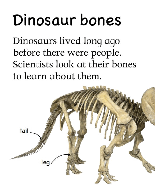 Pearson培生3-6岁低幼亲子阅读绘本38本51.Let's Look Dinosaurs.pdf,第4页预览