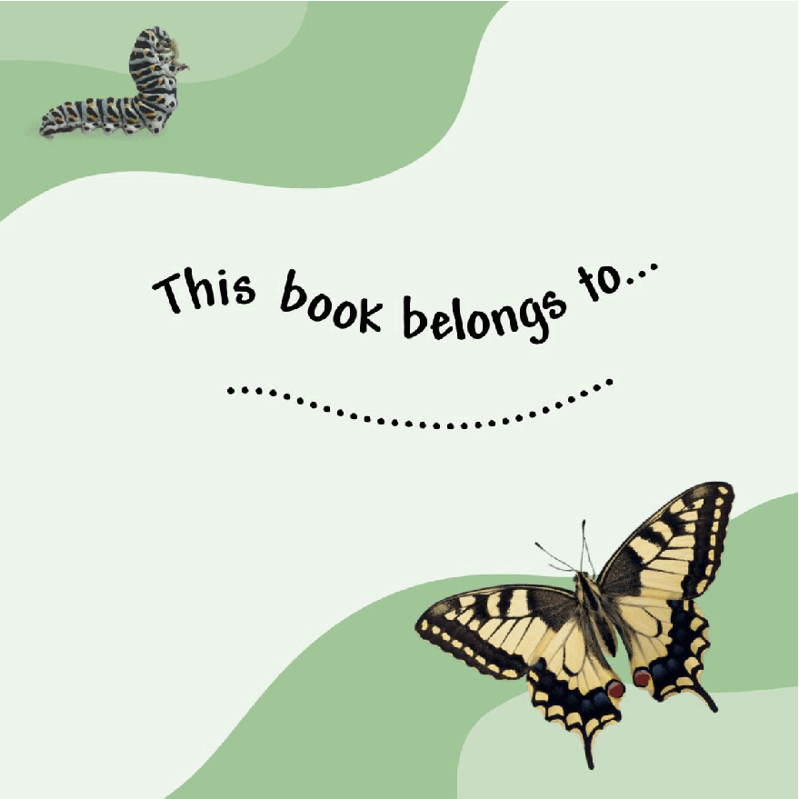 Pearson培生3-6岁低幼亲子阅读绘本38本19.DK See how they grow Butterfly.pdf,第3页预览