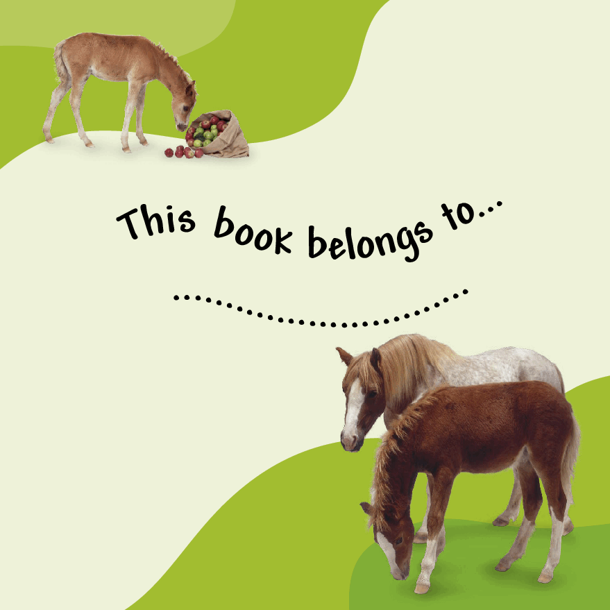 Pearson培生3-6岁低幼亲子阅读绘本38本28.See how they grow Pony.pdf,第2页预览
