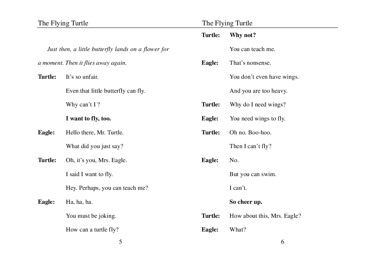 飞行的乌龟The Flying Turtle.pdf,第4页预览