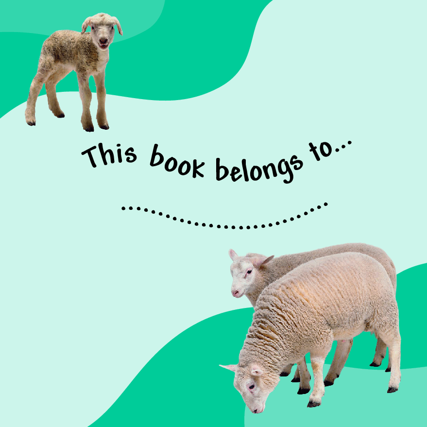 Pearson培生3-6岁低幼亲子阅读绘本38本53.DK See how they grow Lamb.pdf,第2页预览