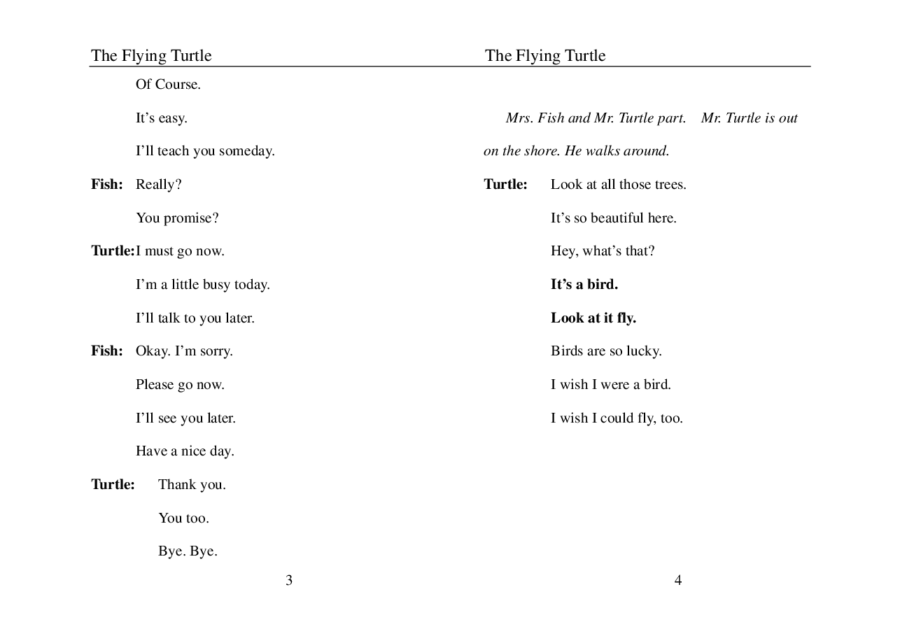 飞行的乌龟The Flying Turtle.pdf,第3页预览