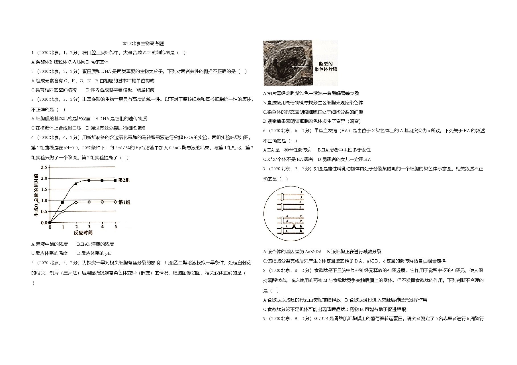 2020年北京市高考生物试卷（原卷版）.doc，第1页预览