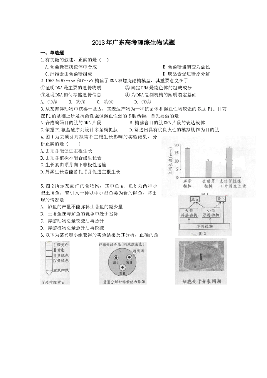 2013广东高考理综生物试卷及答案.docx,第1页预览