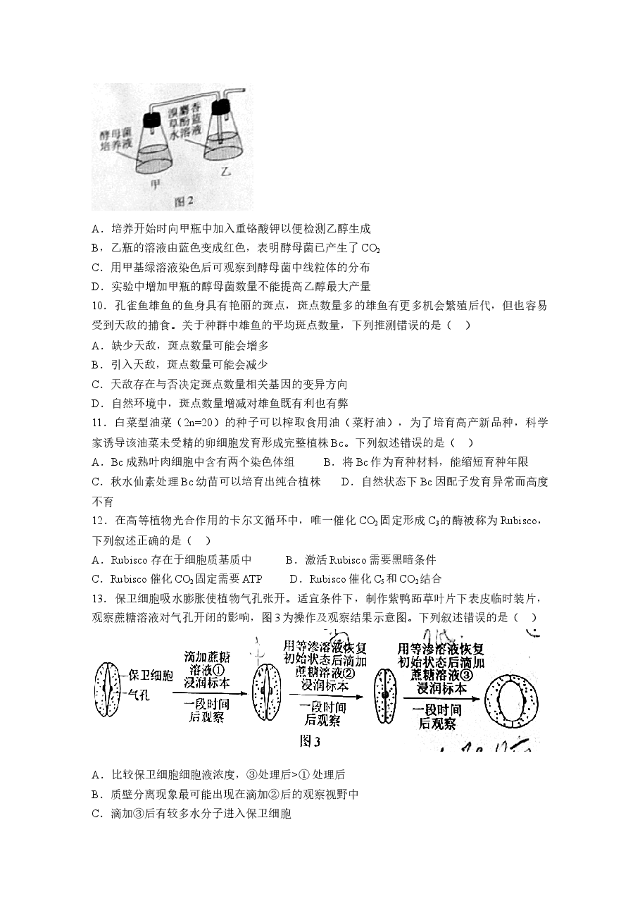 2021年高考真题—— 生物（广东卷） (原卷版）.doc，第3页预览