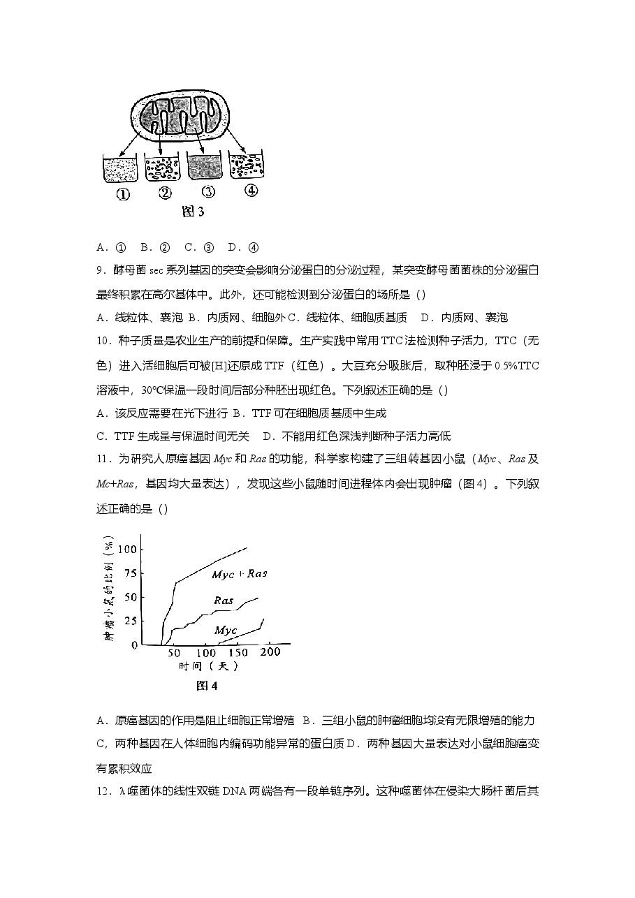 2022年高考真题——生物（广东卷） Word版（原卷）.doc，第3页预览
