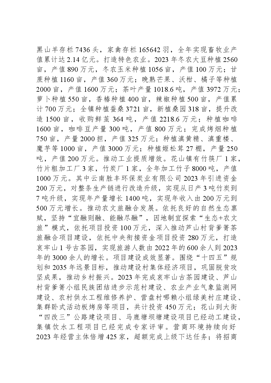 2024年花山镇政府工作报告.docx，第2页预览