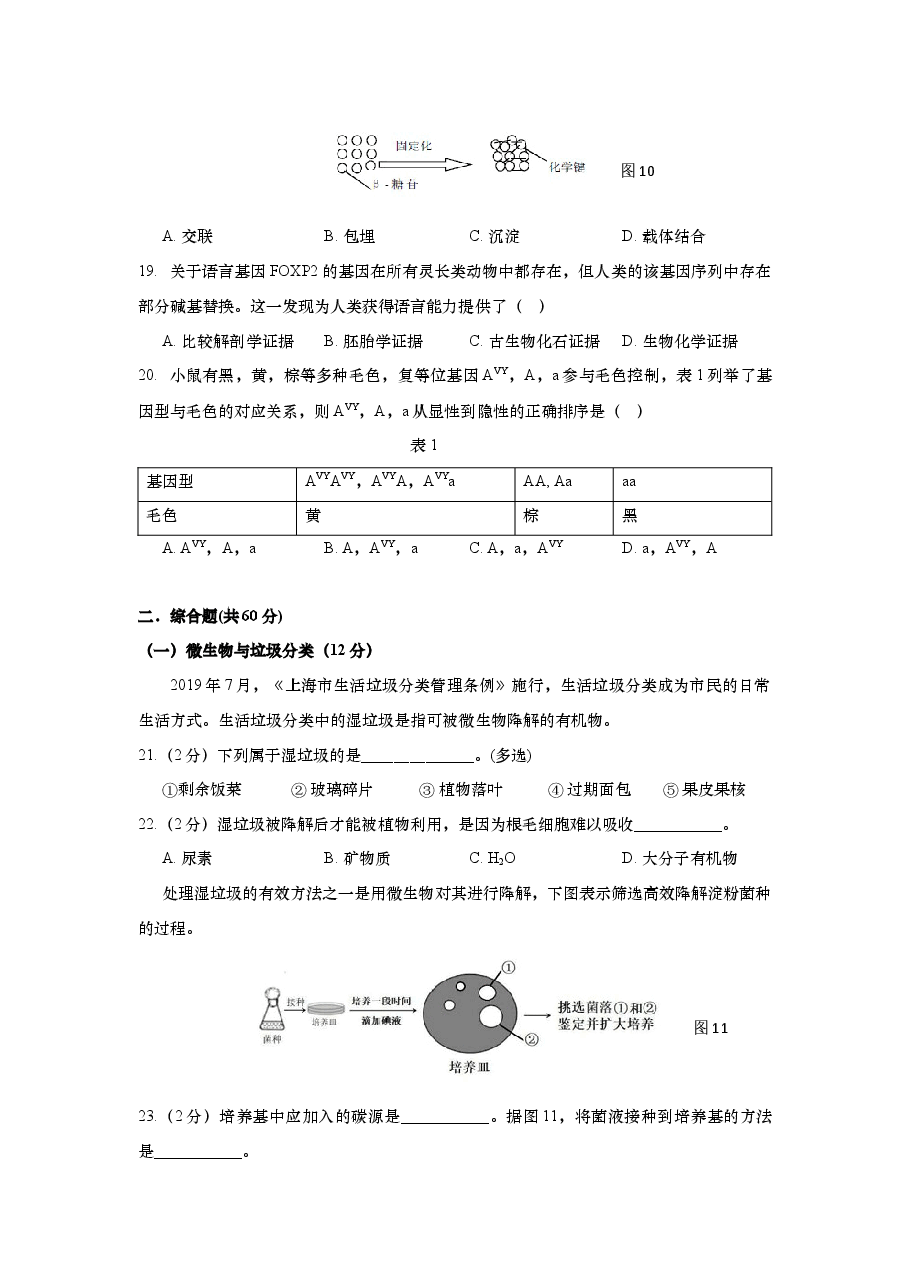 2019年上海市高中毕业统一学业考试生物试卷(原卷版).docx,第4页预览
