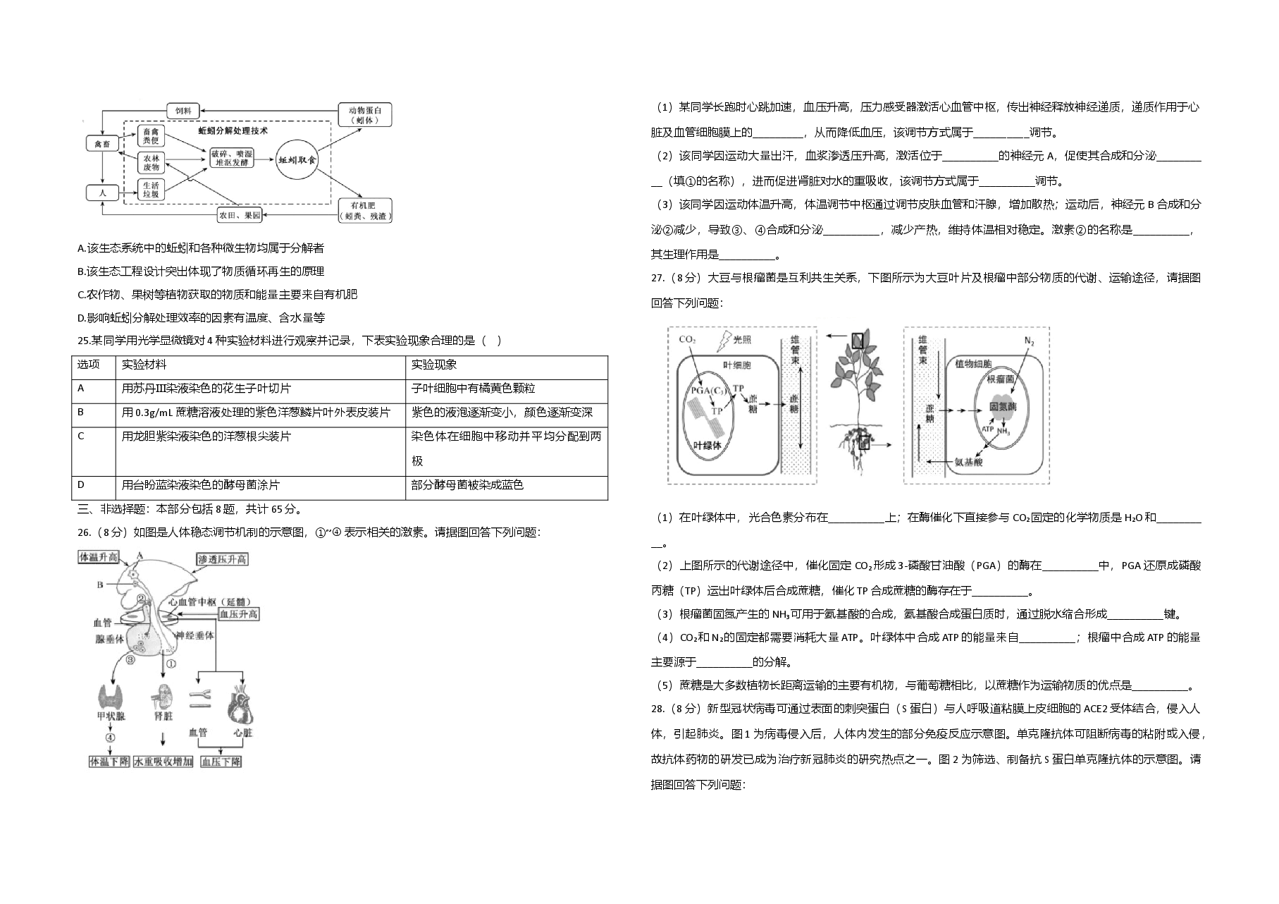 2020年江苏省高考生物试卷 .doc,第4页预览