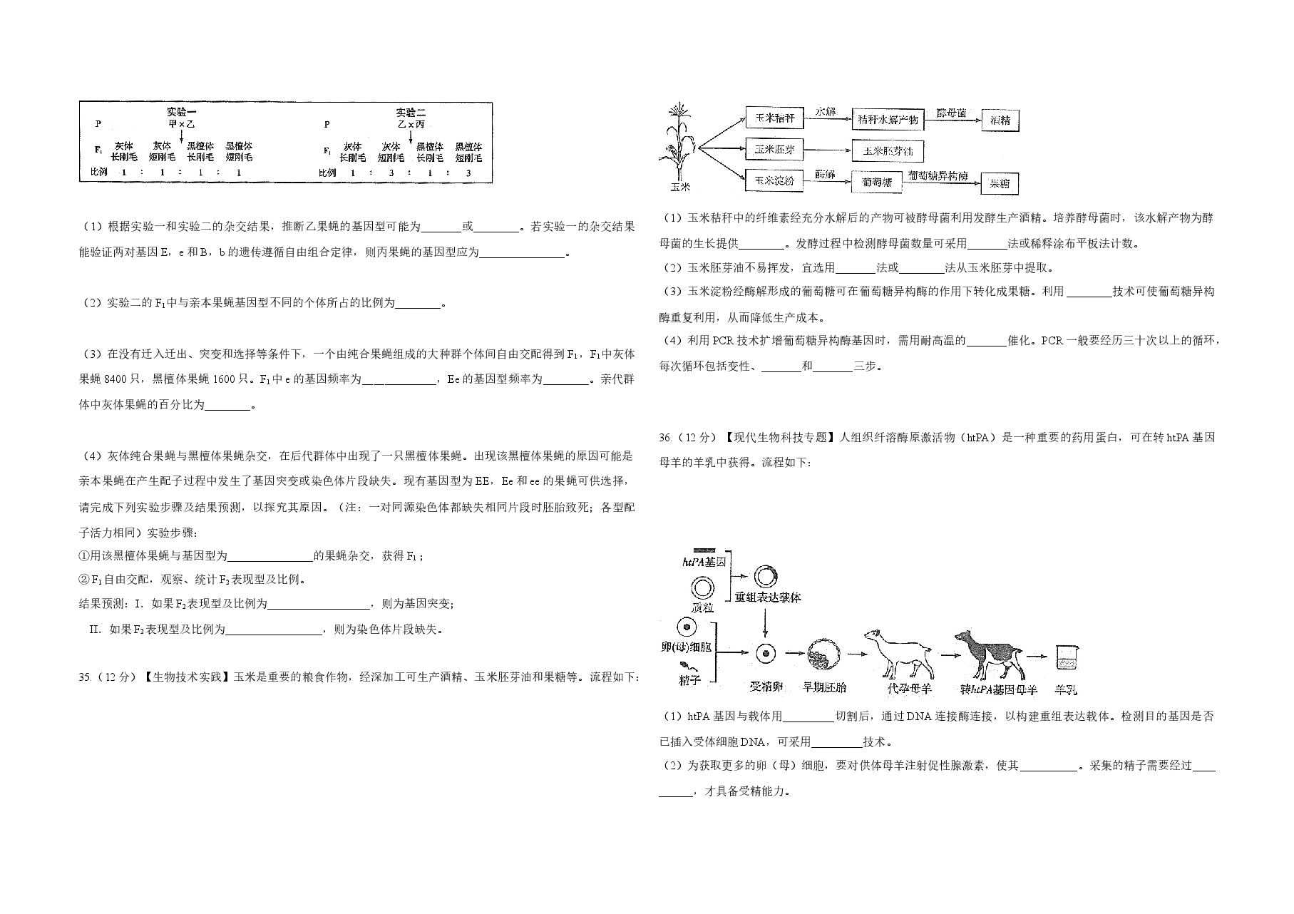 2014年高考真题 生物(山东卷)(原卷版).docx,第3页预览