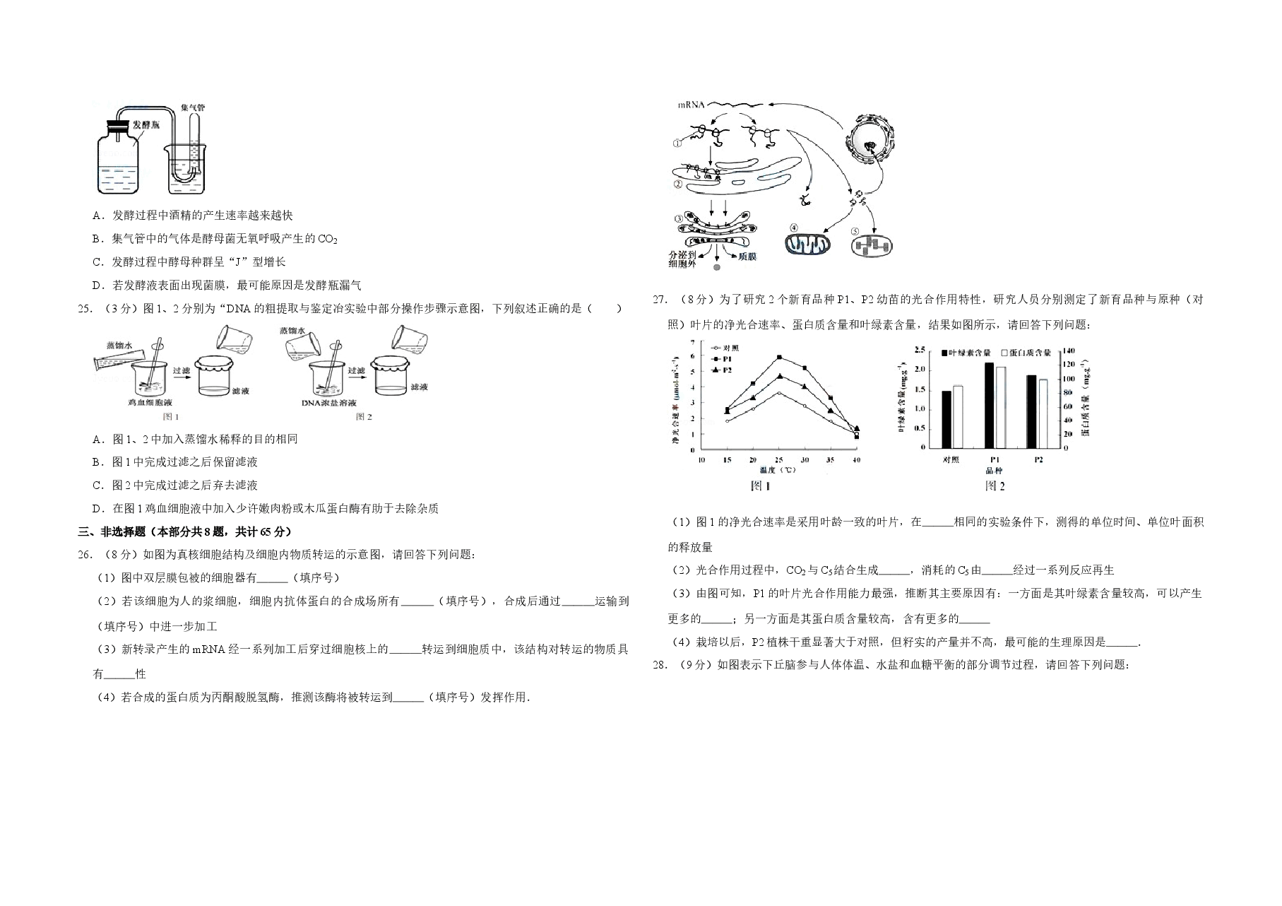 2015年江苏省高考生物试卷 .doc,第4页预览