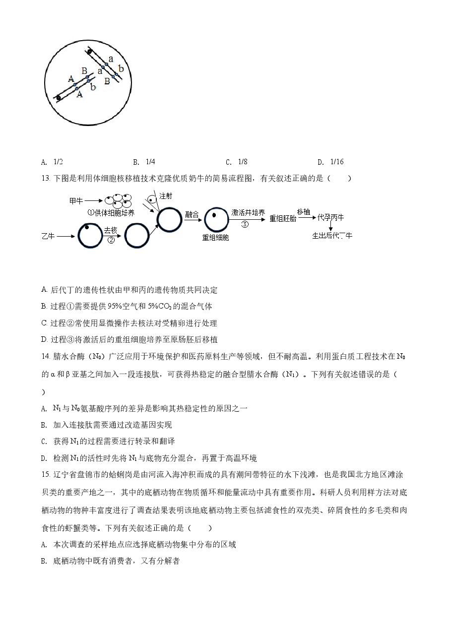 精品解析：2021年新高考辽宁生物高考真题（原卷版）.docx，第4页预览