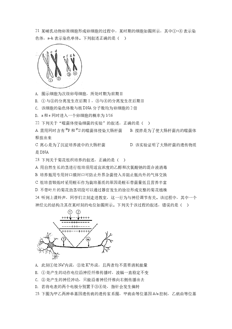 精品解析：2022年6月新高考浙江生物高考真题（原卷版）.docx，第4页预览