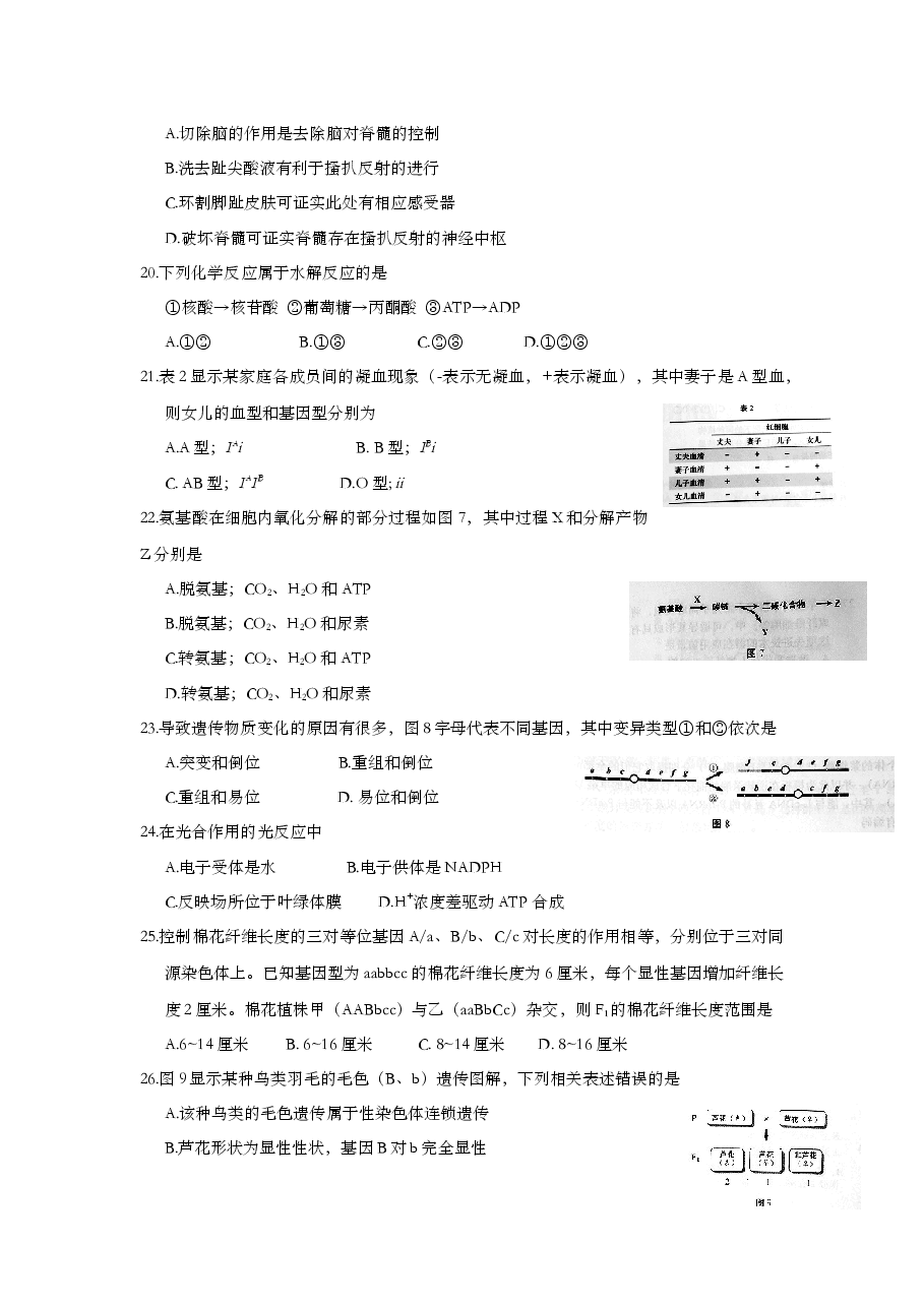 2016年上海市高中毕业统一学业考试生物试卷(word解析版).doc,第4页预览