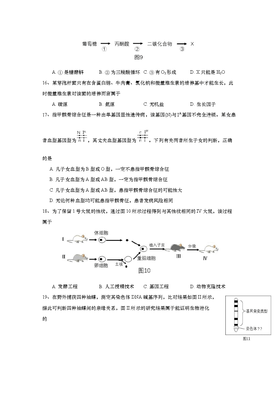 2017年上海市高中毕业统一学业考试生物试卷(答案版).docx,第4页预览