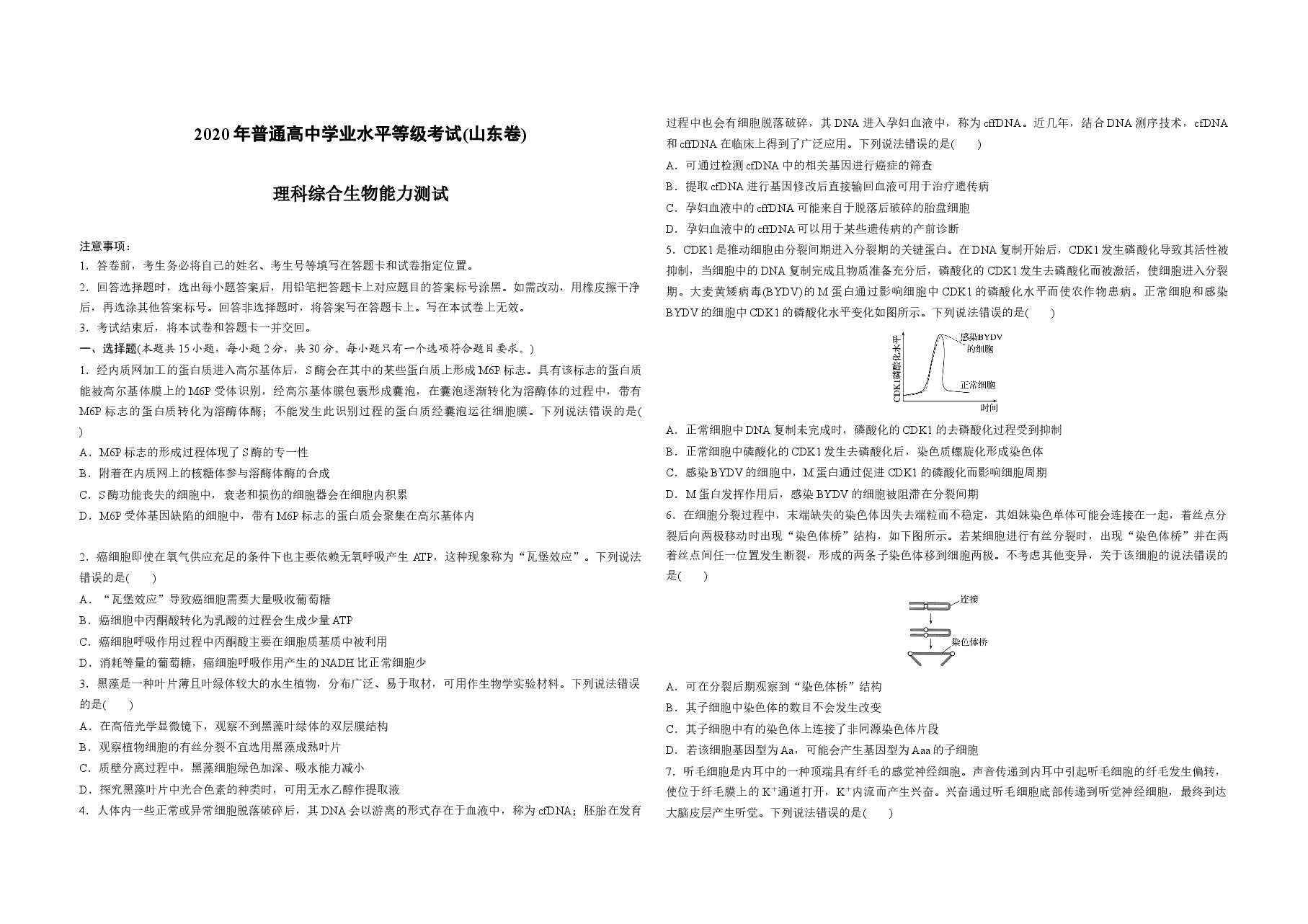 2020年高考真题 生物(山东卷)(原卷版).docx,第1页预览