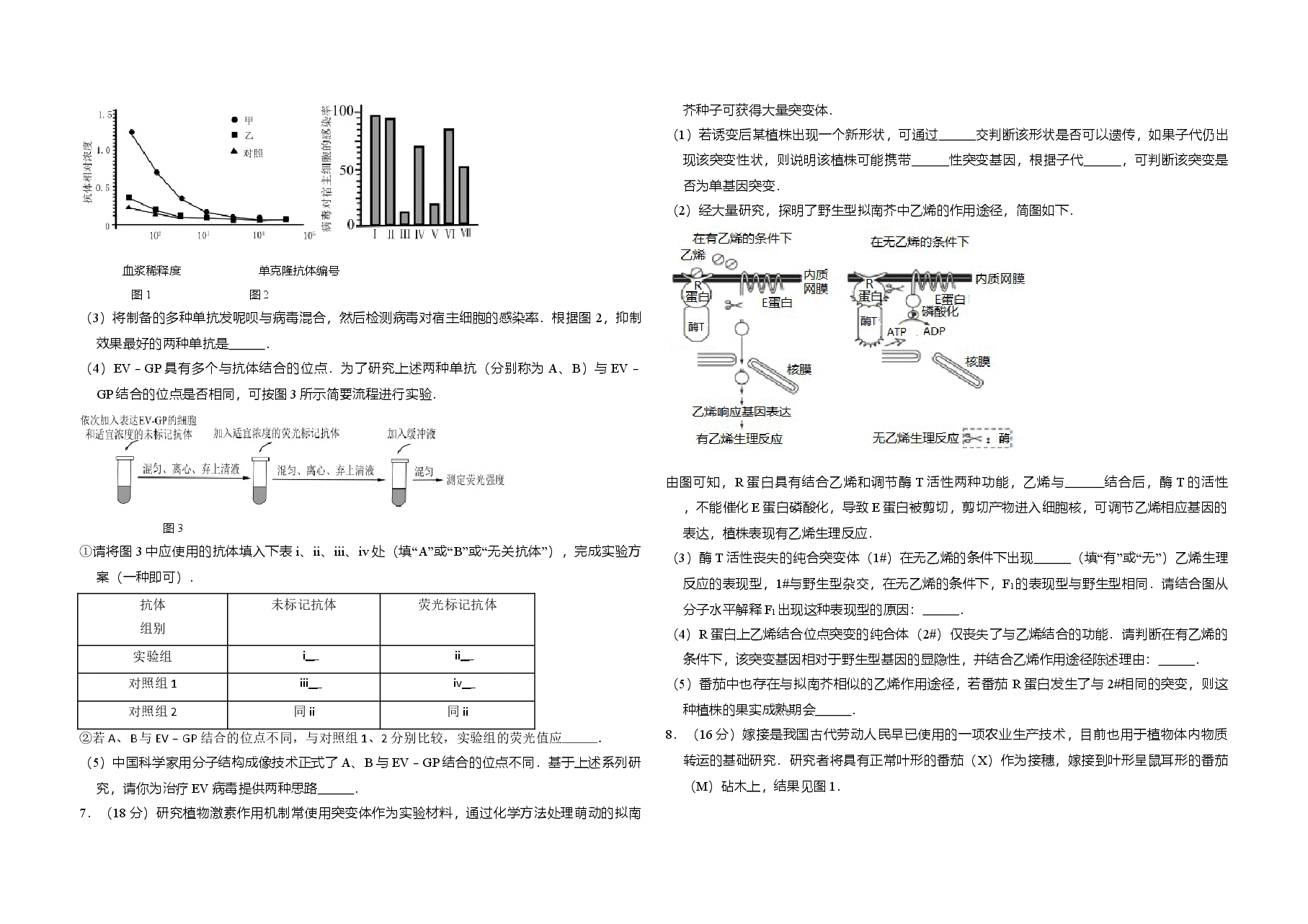 2016年北京市高考生物试卷(含解析版).doc,第2页预览