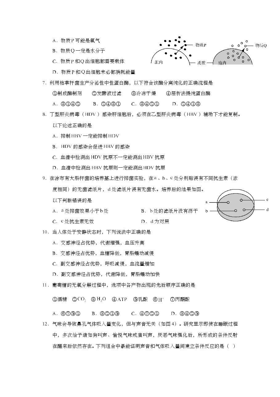 2015年上海市高中毕业统一学业考试生物试卷（word解析版）.doc，第2页预览